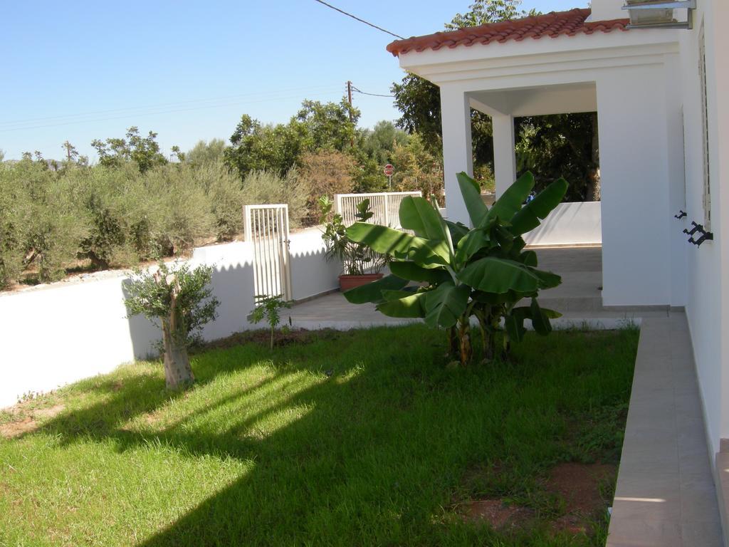 Villa Despoina Paphos Esterno foto
