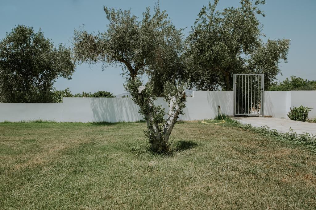 Villa Despoina Paphos Esterno foto